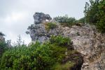 D50_1696.jpg