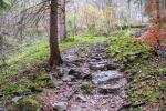 D50_2662.jpg