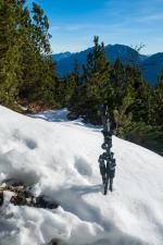 Übertriebenes Stativ hat im Schnee doch vorteile...