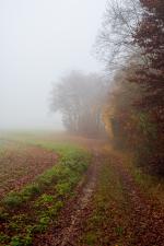 D50_2667.jpg