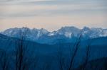 DSC_5135.jpg