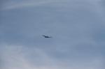 DSC_5184.jpg