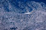 Der Pflegersee zugefroren