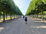 Auf zum Schloss Schwetzingen