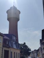 IMG_20250621_102050439.jpg