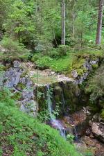 DSC_2540.JPG