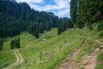 An der Soila-Alm